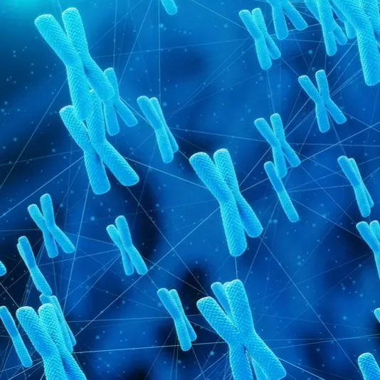 iSAFE PGT-A Screening by dPCR (Same Day Report)