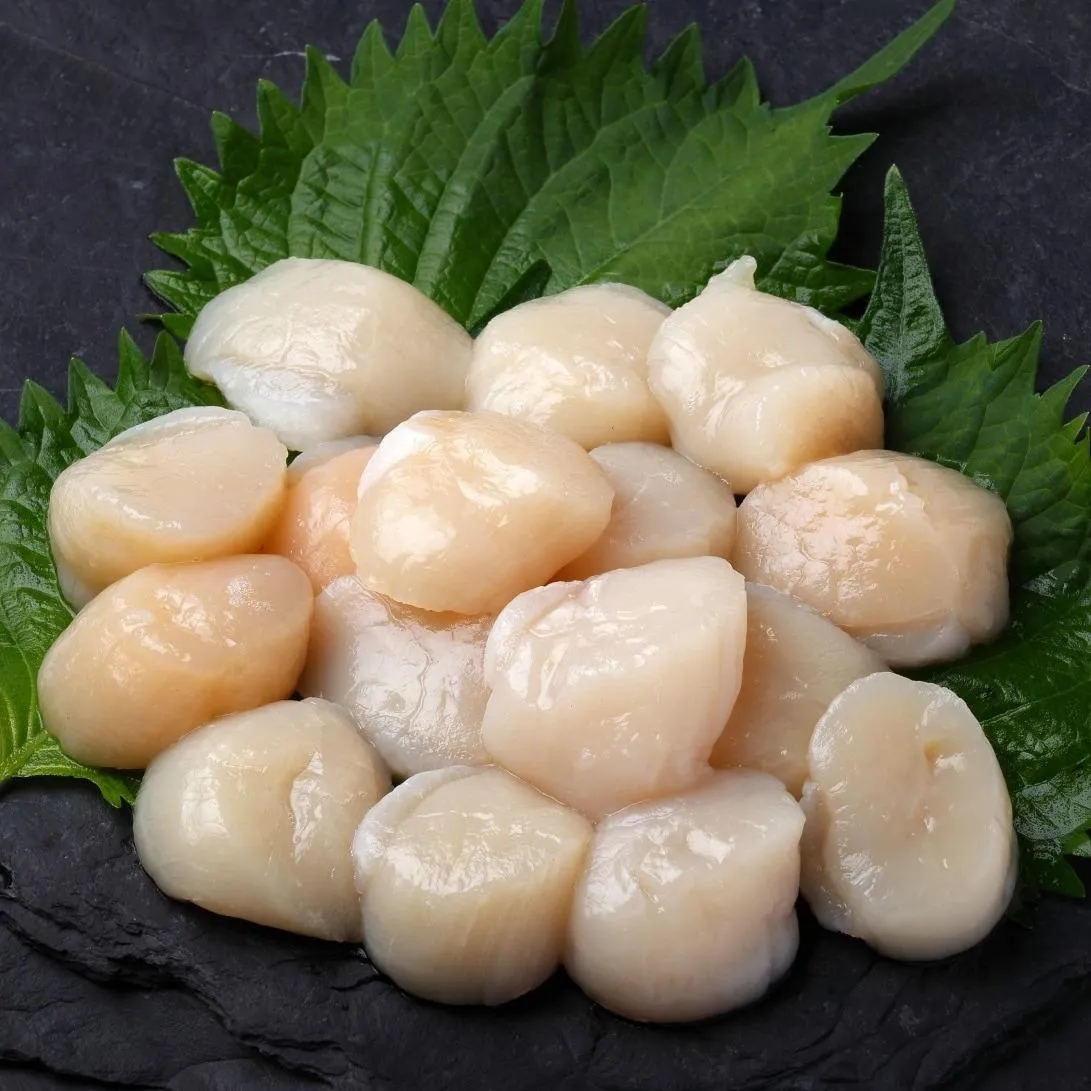 HOKKAIDO SASHIMI GRADE SCALLOPS