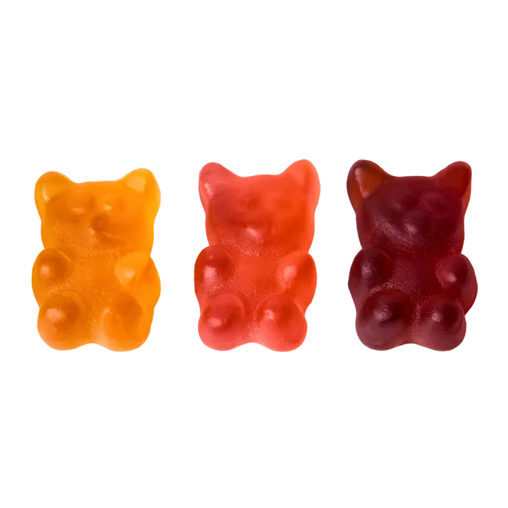 PROBIOTIC + VITAMIN B12 SUGAR FREE GUMMIES