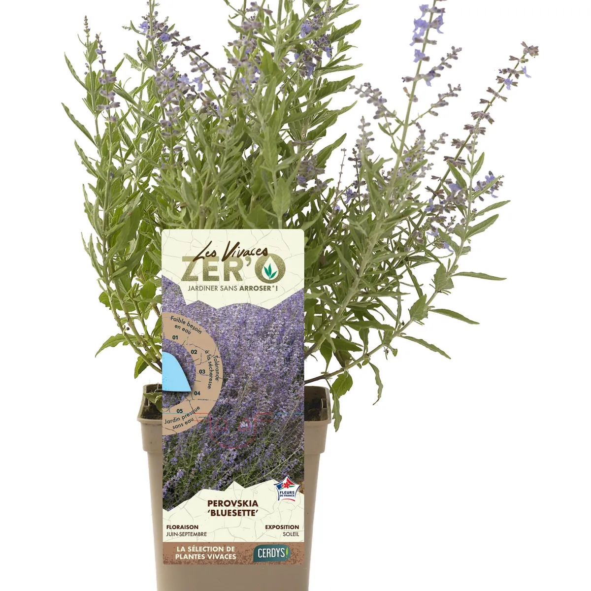Les vivaces Zér'O