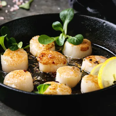 Scallop Meat 10/20 – Premium Ingredient for Versatile Seafood Concepts