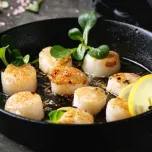 Scallop Meat 10/20 – Premium Ingredient for Versatile Seafood Concepts