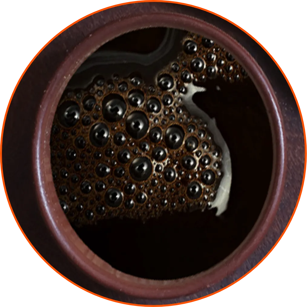 Coffee Liquid Concentrate