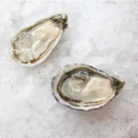 Northern West Coast Oysters