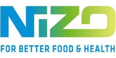 Nizo