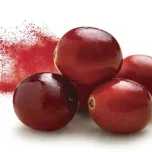 Exocyan Natural Cranberry Extracts for Urinary Tract Health