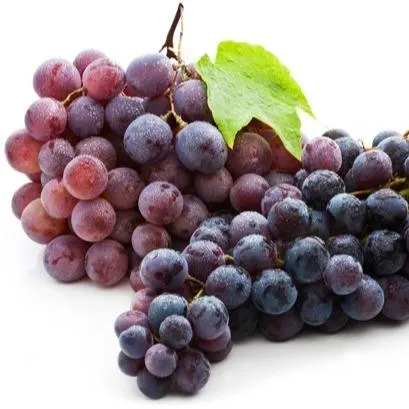 BioVin® Advanced - French Red Wine Extract with 5% Resveratrol