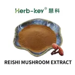 Reishi Mushroom Extract
