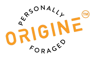 ORIGINE SRL