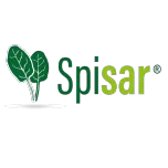 SPISAR®: SPINACH LEAF EXTRACT FOR MUSCLE MAINTENANCE