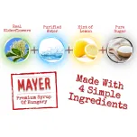 Mayer Premium Elderflower Syrup / Cordial