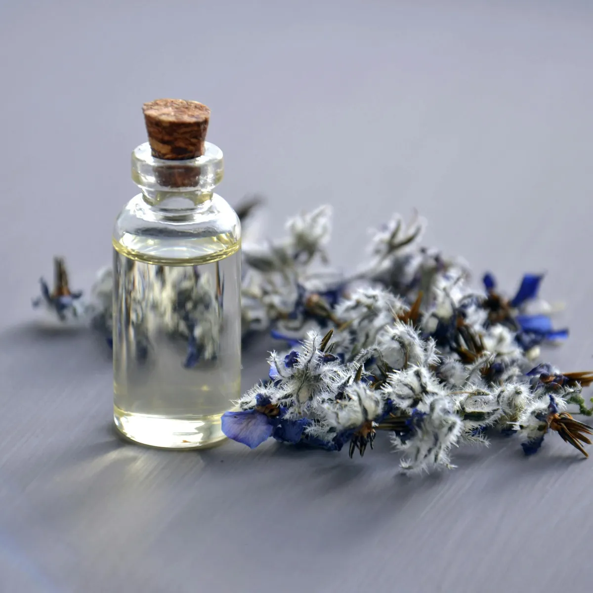 Borage Oil
