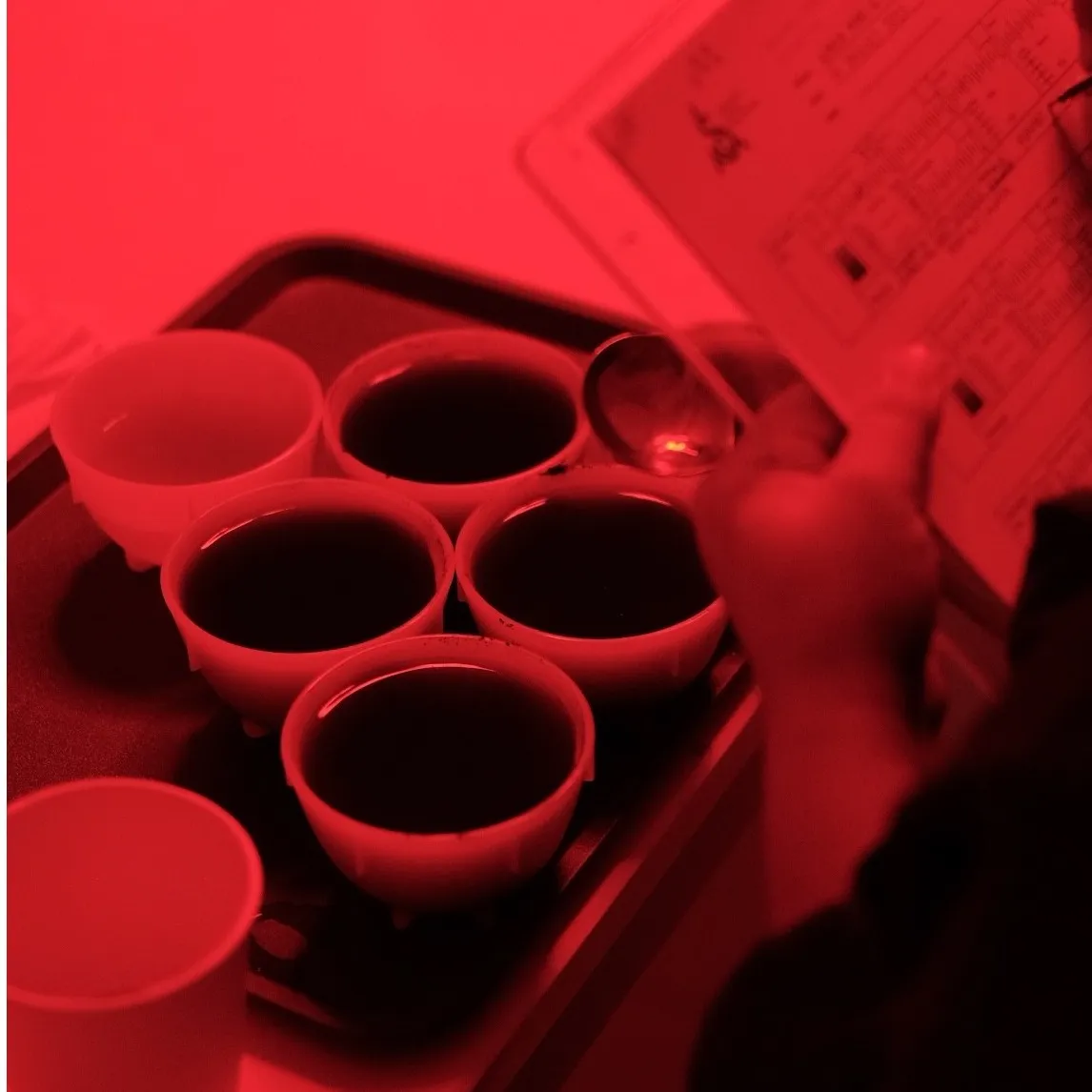 SCA Coffee Skills Program