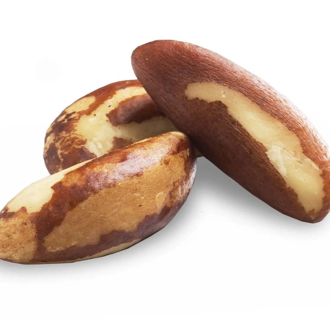 Brazil Nut