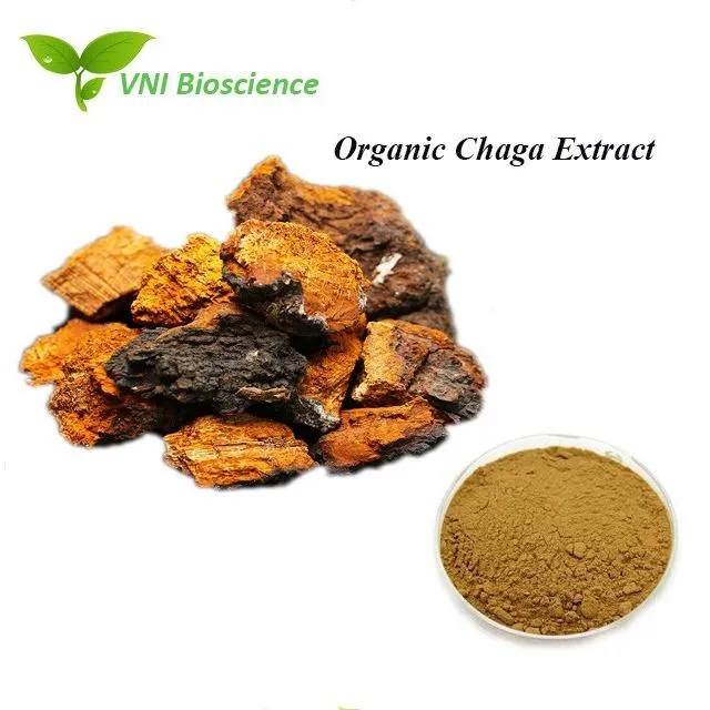 Organic Mushroom Extract
