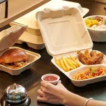 disposable plant fibre tableware