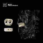 Orthopedic Implant for Spine