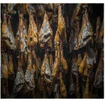 100% IBERICO BELLOTA HAM ALTA GASTRONOMIA