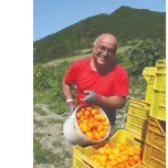 Favuzzi Unveils a New Generation of Italian Tomato Sauces at the Summer Fancy Food Show