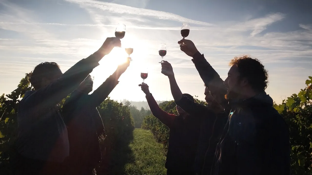 ADACLIM – Changement climatique : corriger les déséquilibres des vins