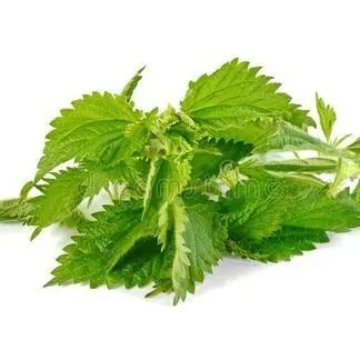 3,4-divanillyltetrahydrofuran 95%