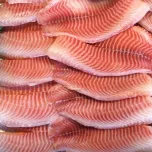Tilapia (Fillets & GS)