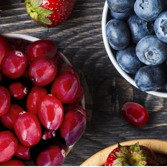 OroPhenol™ to maintain optimal oral health