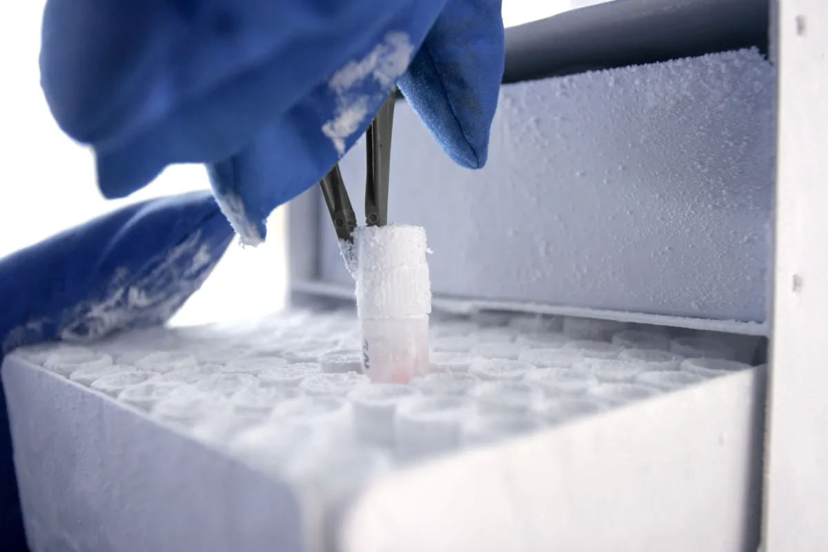 Cold Storage and Logistics