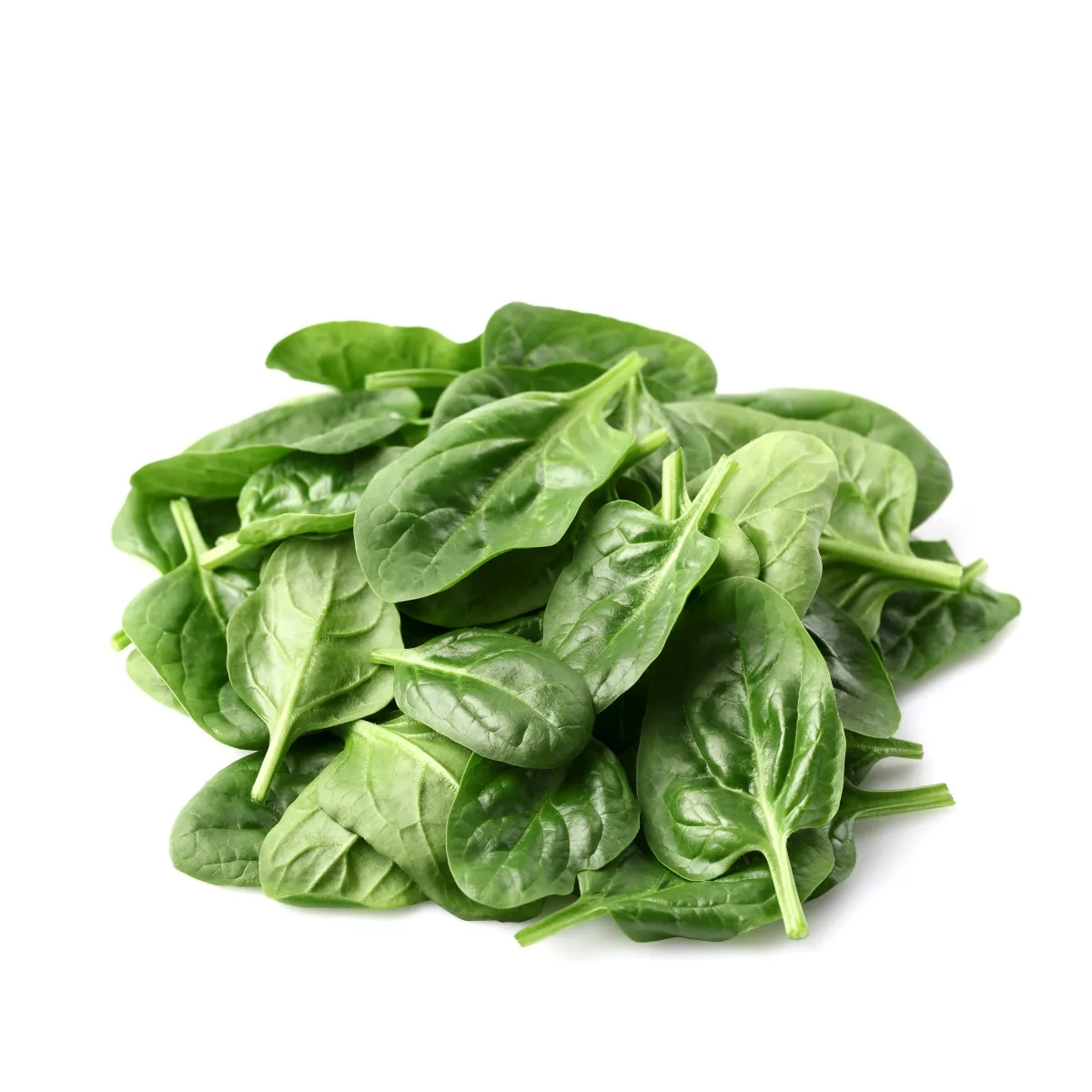 SPISAR®: SPINACH LEAF EXTRACT FOR MUSCLE MAINTENANCE