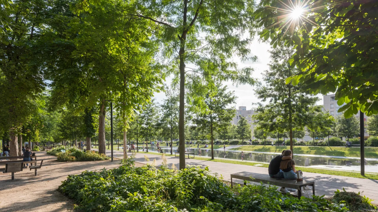 Les bienfaits du végétal : une opportunité commerciale à saisir pour les producteurs