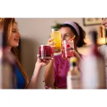 Mayer Premium Chili Mango Syrup / Cordial