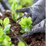 Ouvrier·e Horticole H/F