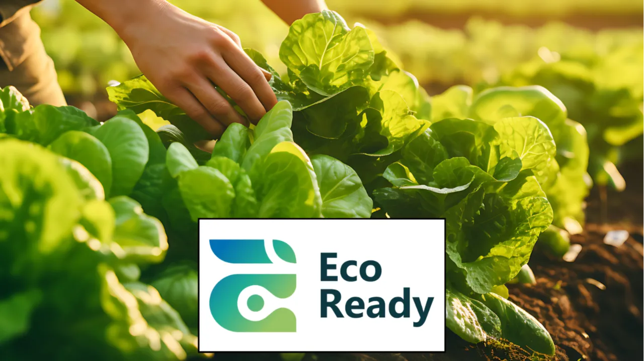 Quel avenir pour la filière laitue à l’horizon 2050 en Pays de la Loire ?