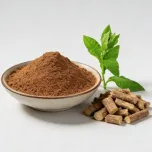 Radix Isatidis Extract