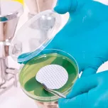 MCE Membrane Filters