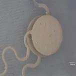 Printed Force Sensor