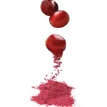 Exocyan TM Natural Cranberry Extracts for Urinary Tract Health