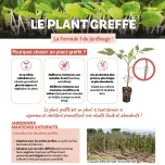 Nous, c'est le plant !