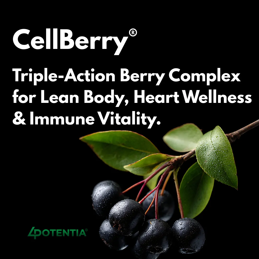 CellBerry®: Metabolic, Cardiovascular & Immune Support
