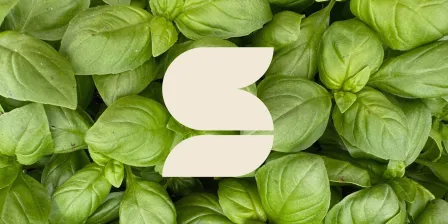 SIMPLANTE