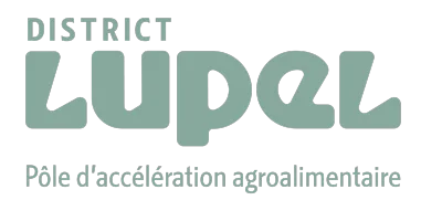 DISTRICT LUPEL