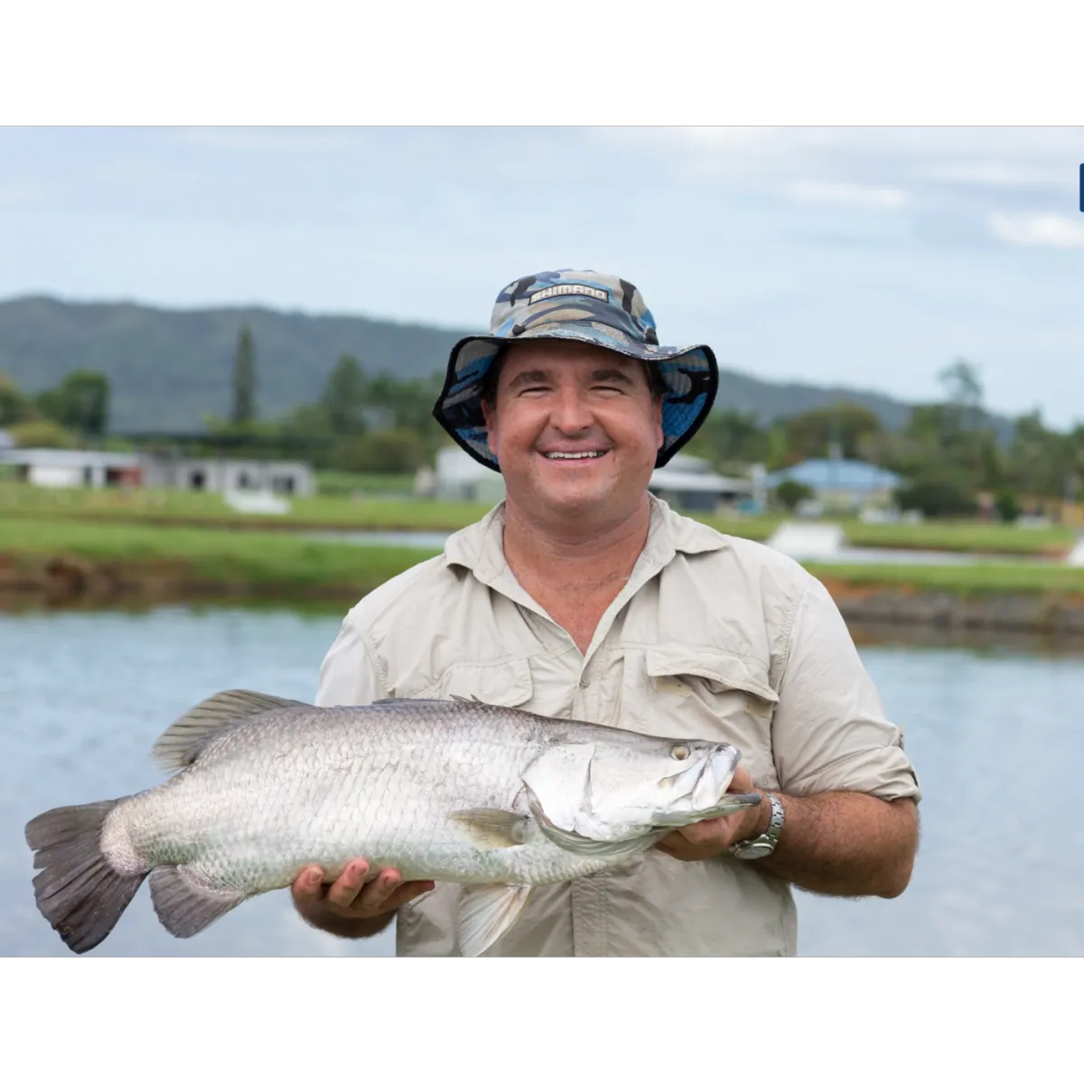 Barramundi (Lates calcarifer)