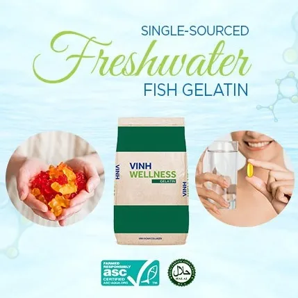 Vinh Wellness Gelatin