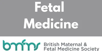 FM06 Estimated fetal weight at the 20 week anatomy scan: a predictor of SGA?