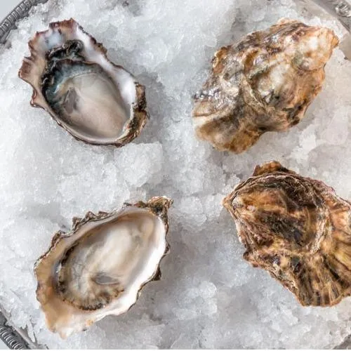 Northern West Coast Oysters