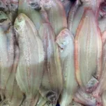 ST700V - Automatic high speed fish skinner