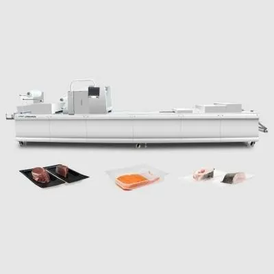 Skin Thermoforming Packaging Machine