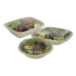 48oz Sugarcane Food Container XDJ-LBBE-CS1400-3