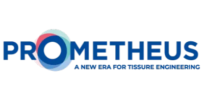 Prometheus srl