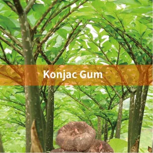 Konjac gum